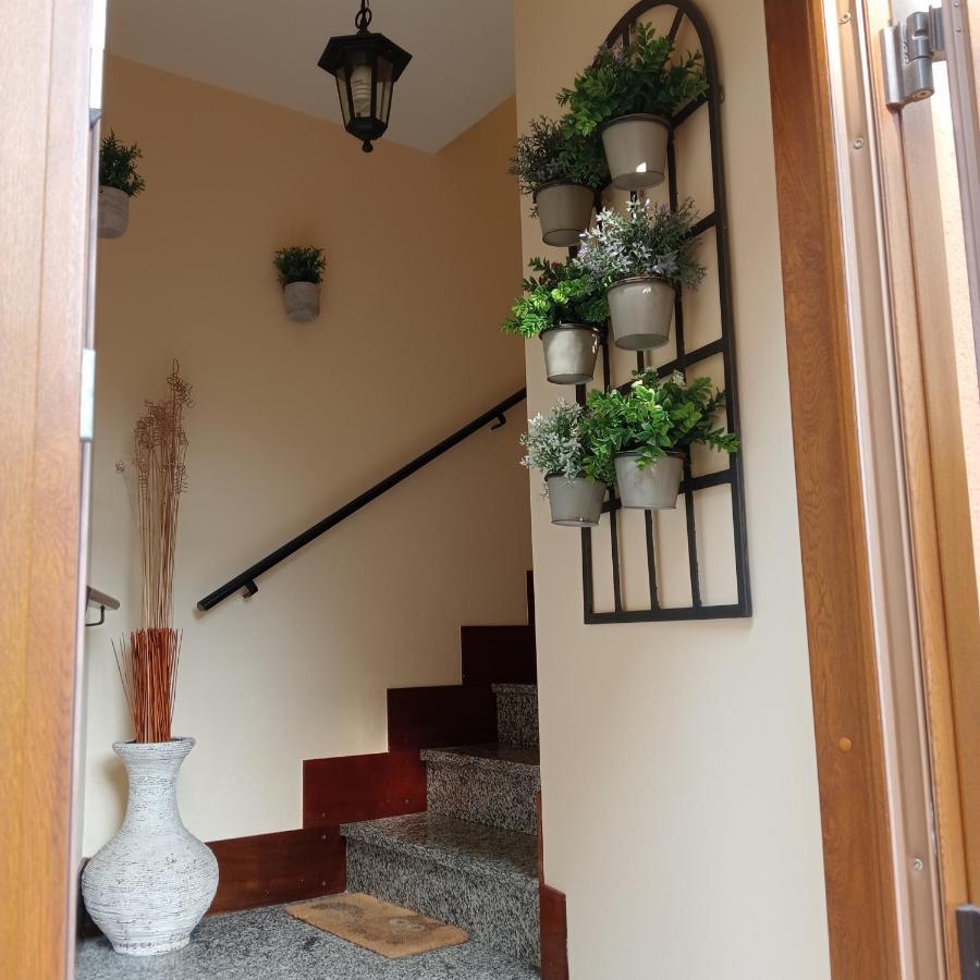 Casa Di Dario Villa Pettenasco Eksteriør bilde