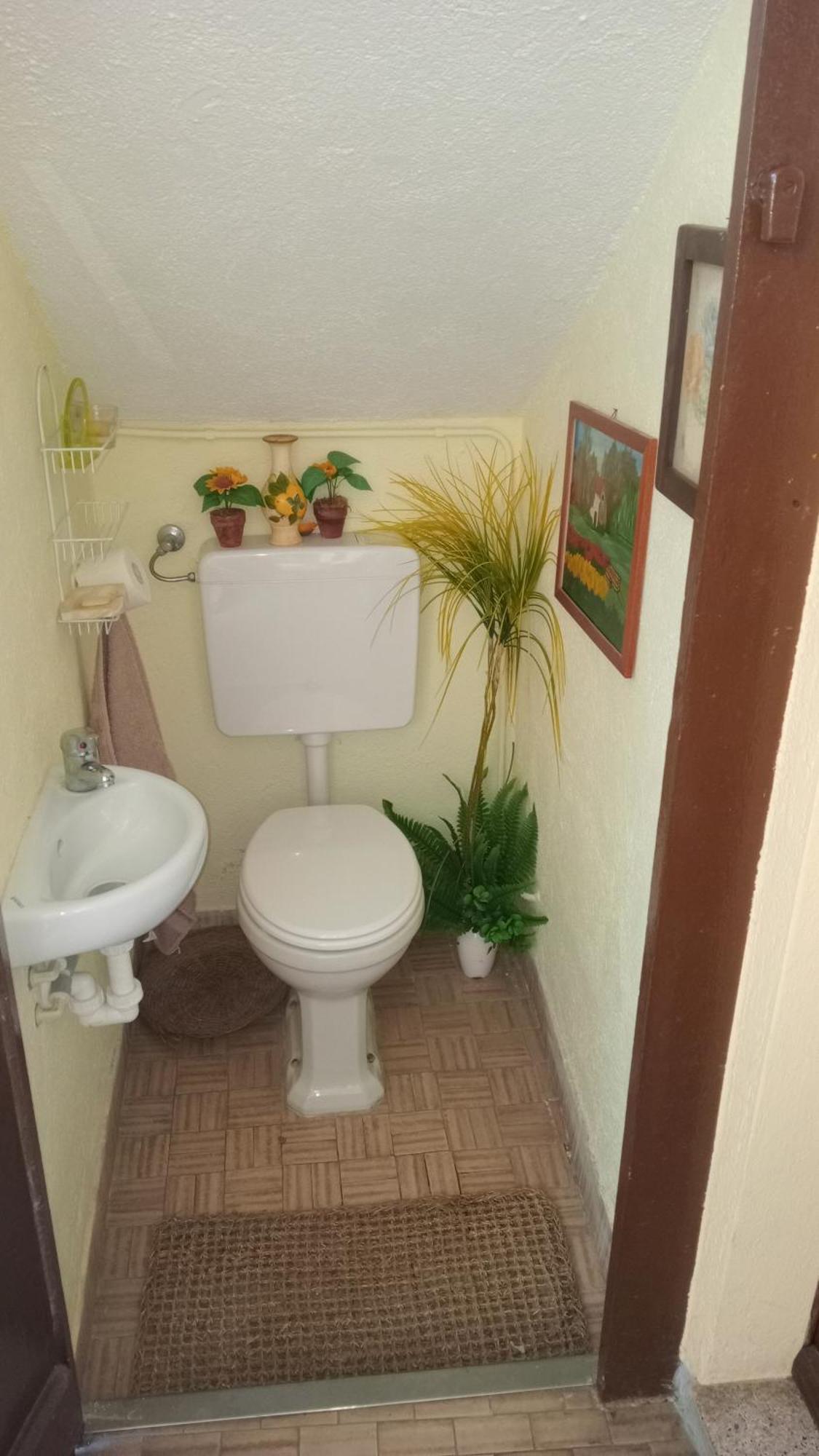 Casa Di Dario Villa Pettenasco Eksteriør bilde